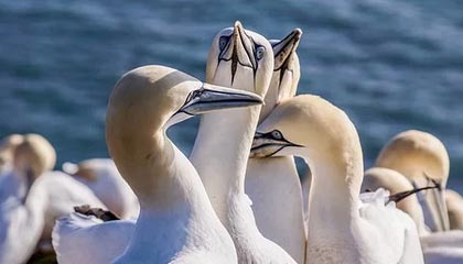 我想买各类主流虚拟货币，然后十年不动，最后结果大概率是怎样？