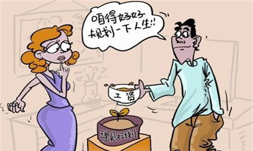 老婆讲理财(娶一个会理财的老婆)