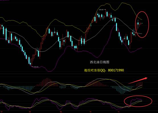 关于趣投吧贵金属原油的信息