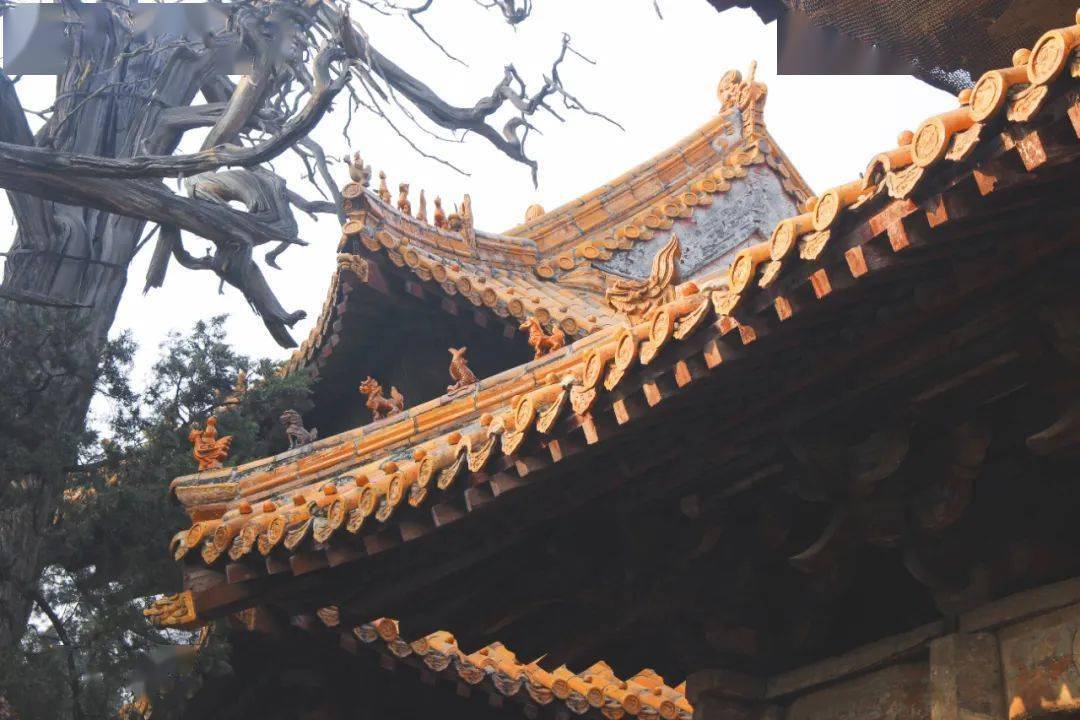 承德贵金属ll(承德贵金属交易中心)