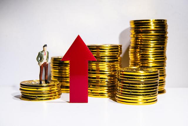 中国贵金属投资网(中国贵金属投资网首页)