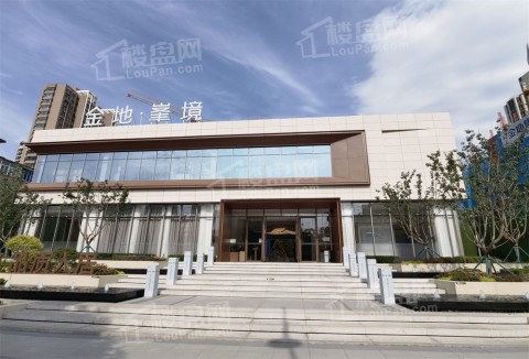 金地贵金属(金地最贵的项目)