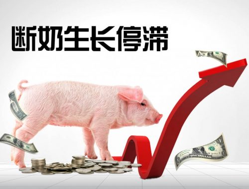 普维币(普维币如何参与)