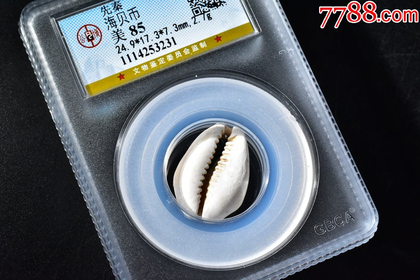 海贝币(海贝币假货)