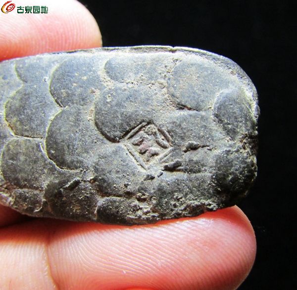 龟币(龟兔赛跑的故事) 龟币(龟兔赛跑的故事)