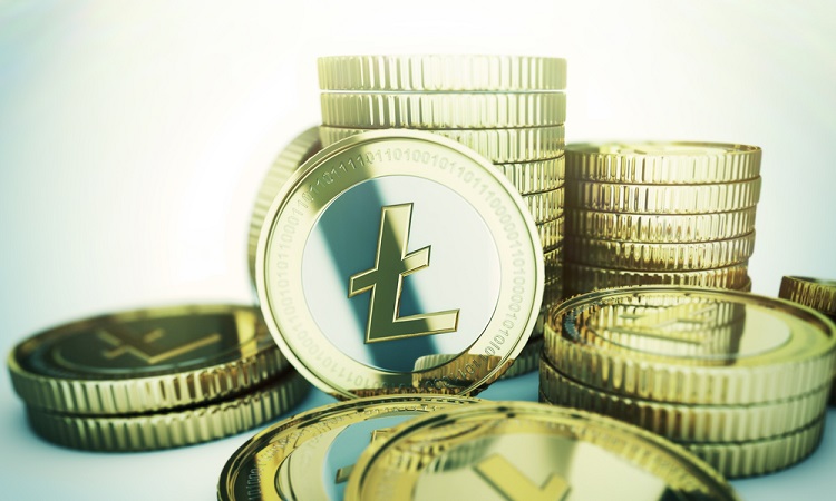 币特网(bitcoin交易所app下载)