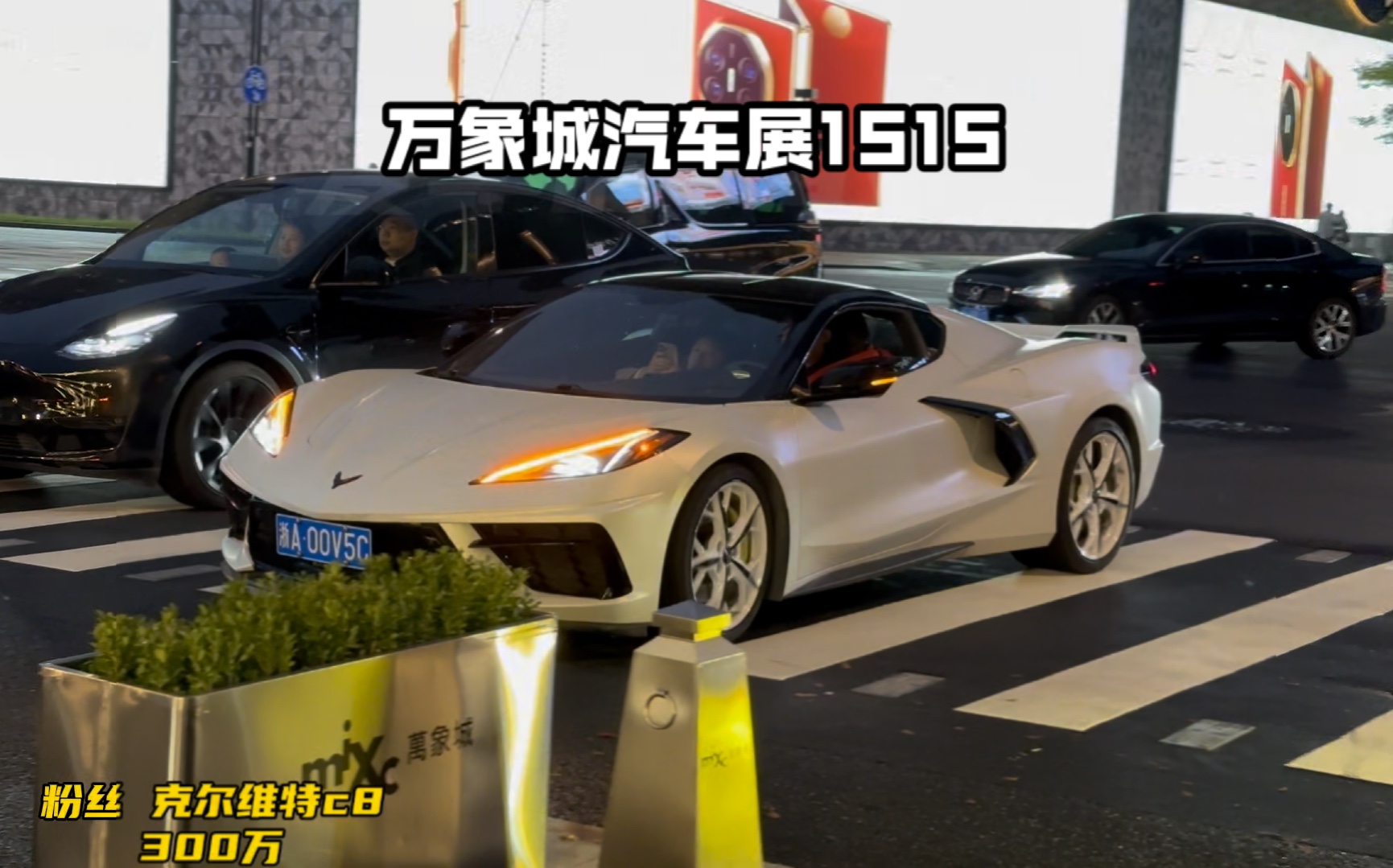 维特币(维特币是哪个国家)