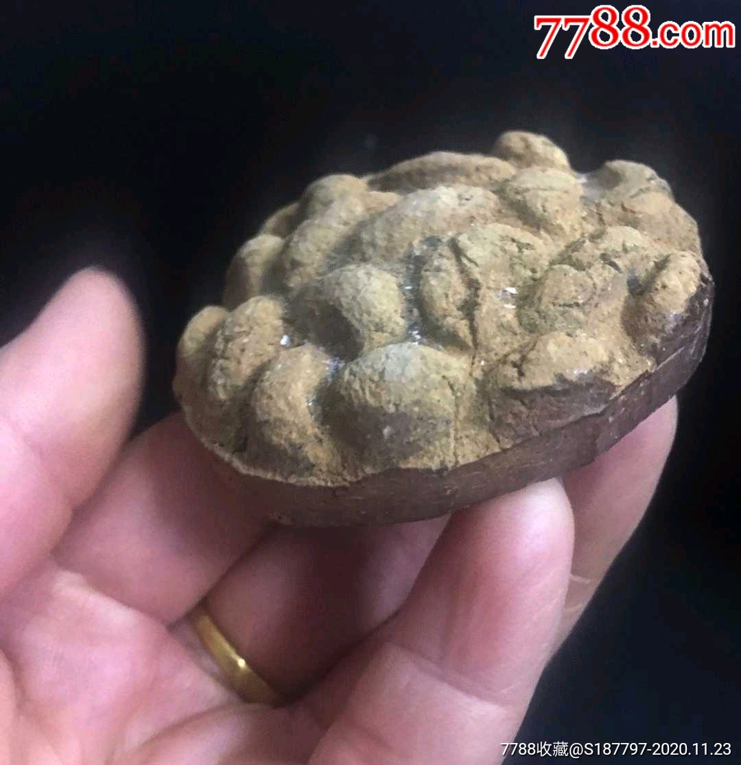 龟币(龟币价格及图片)