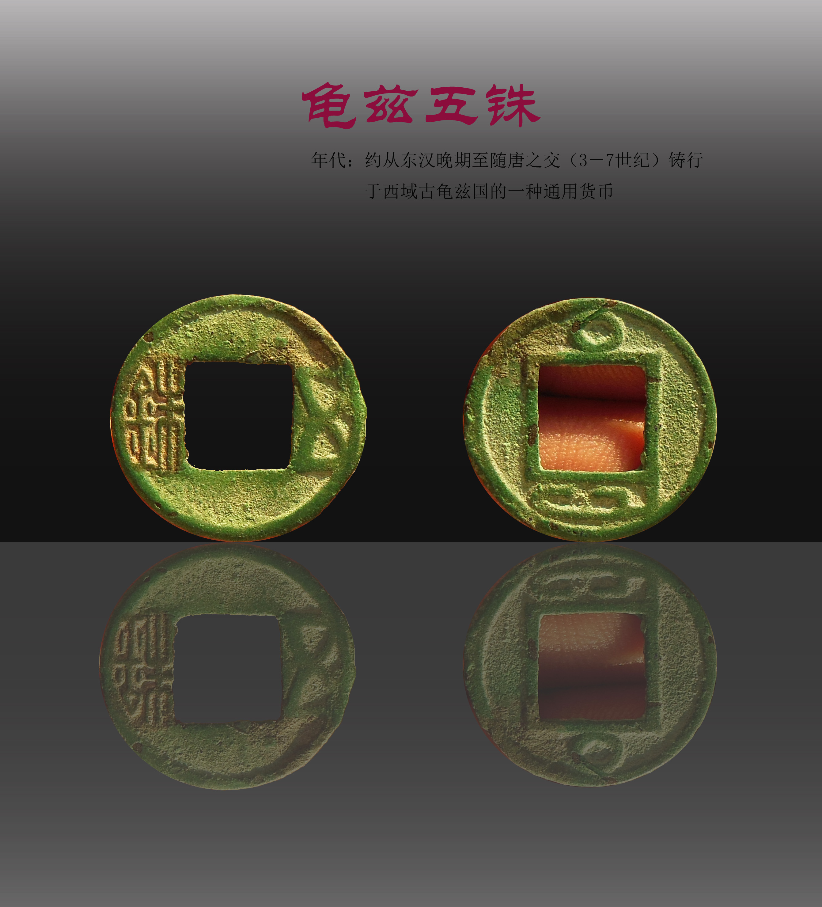 龟币(龟币价格及图片)
