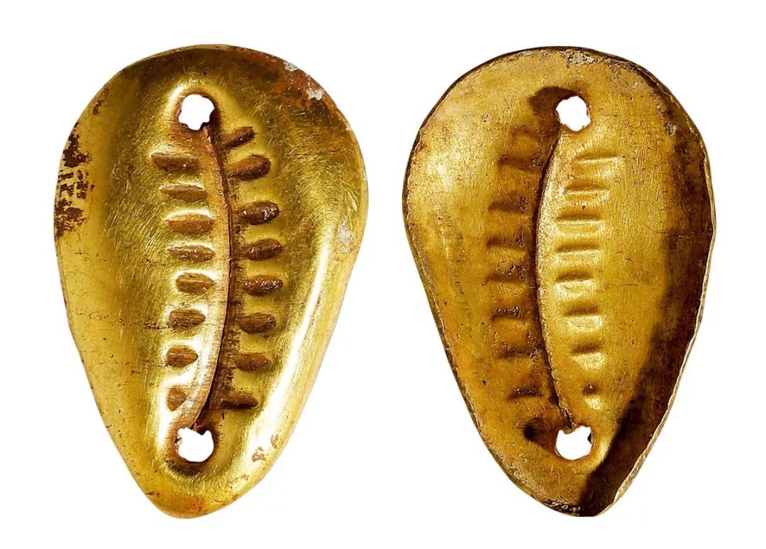 金贝币(金贝币价格)