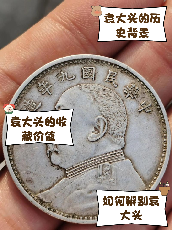 大头币的价格(大头币现在值多少钱)