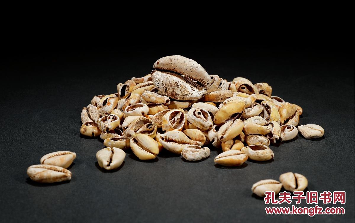 海贝币(海贝币是什么朝代)