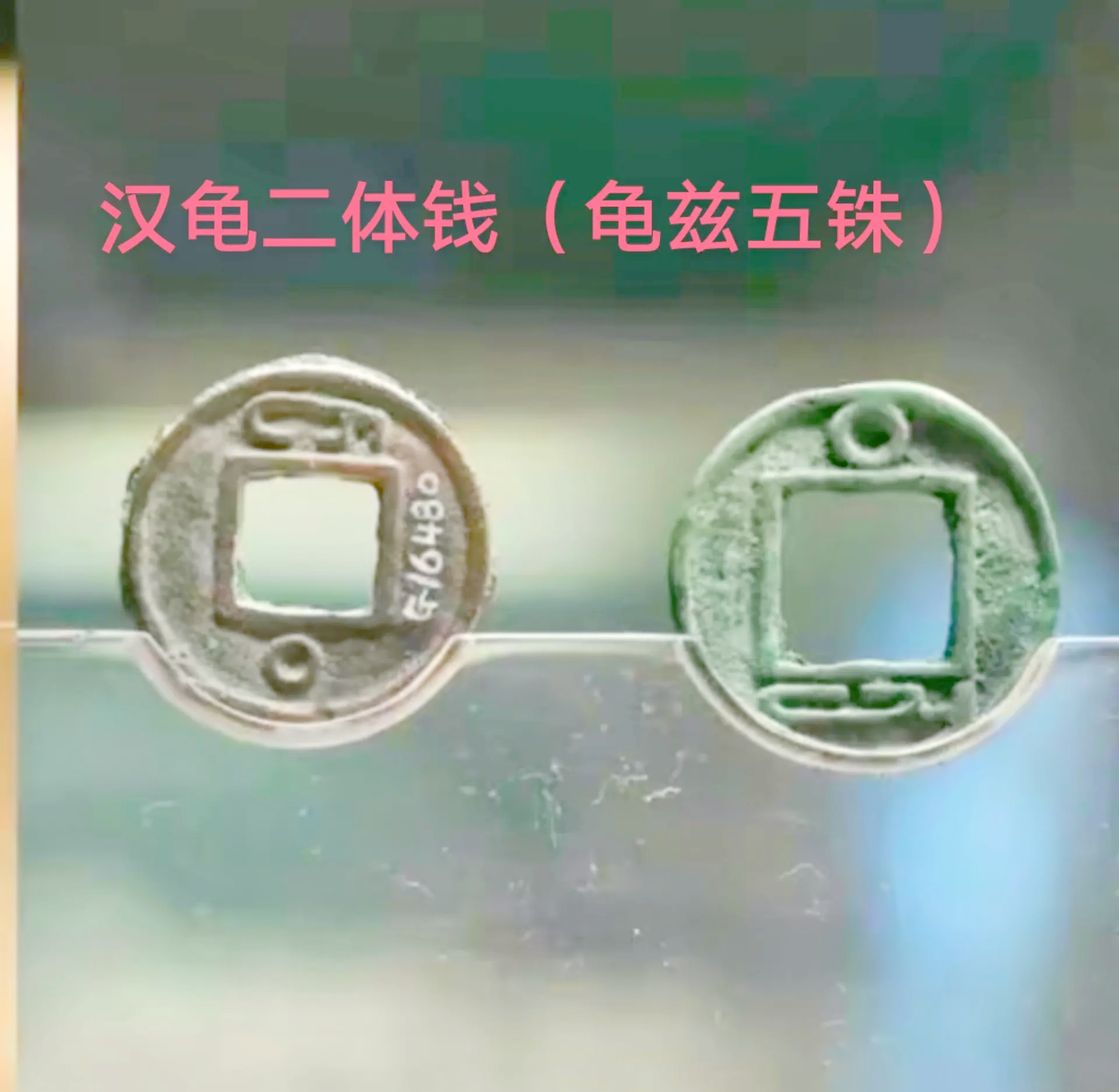 龟币(龟币是哪个年代发明的)