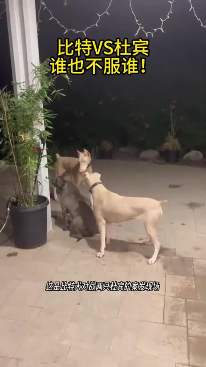 比特(比特币是什么东西,怎么产生的)