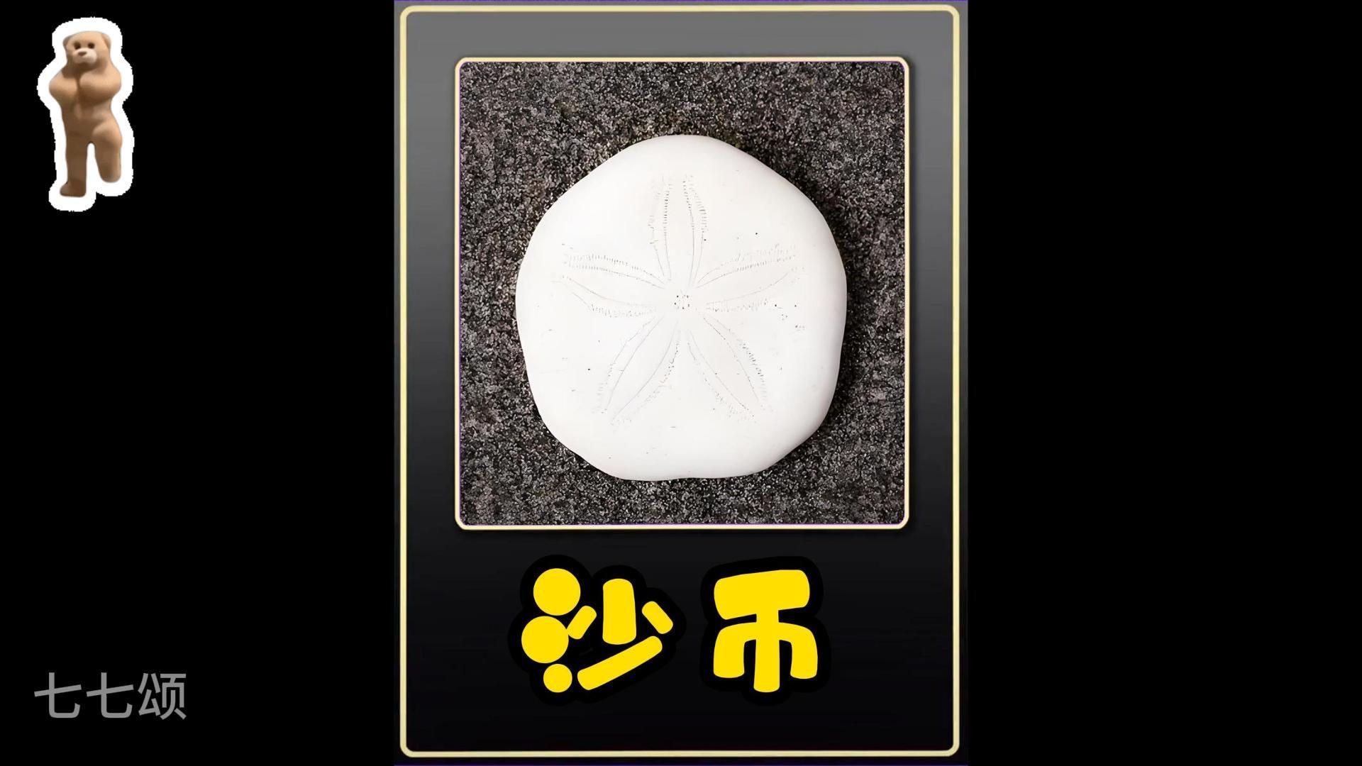 海币(海市蜃楼是什么现象)