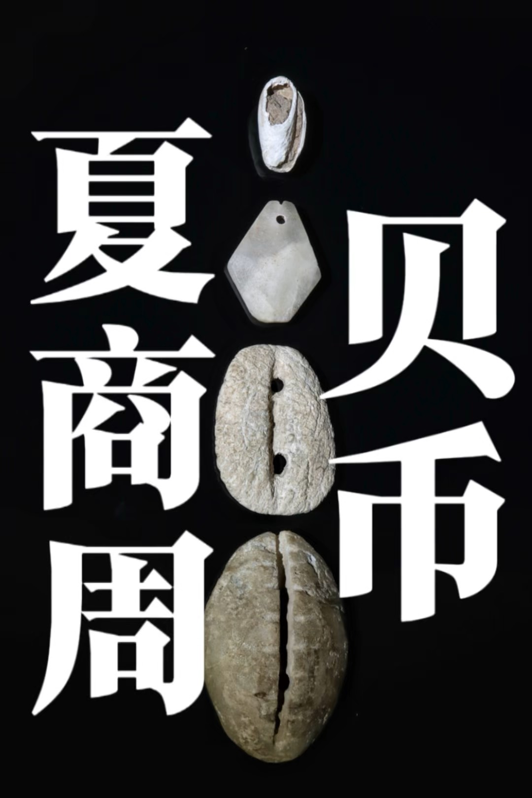金贝币(金贝币的重量)
