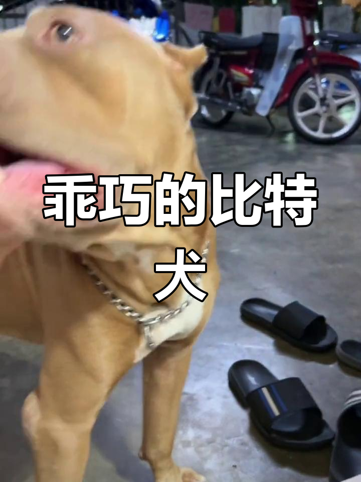 比特(比特币今日价格人民币)