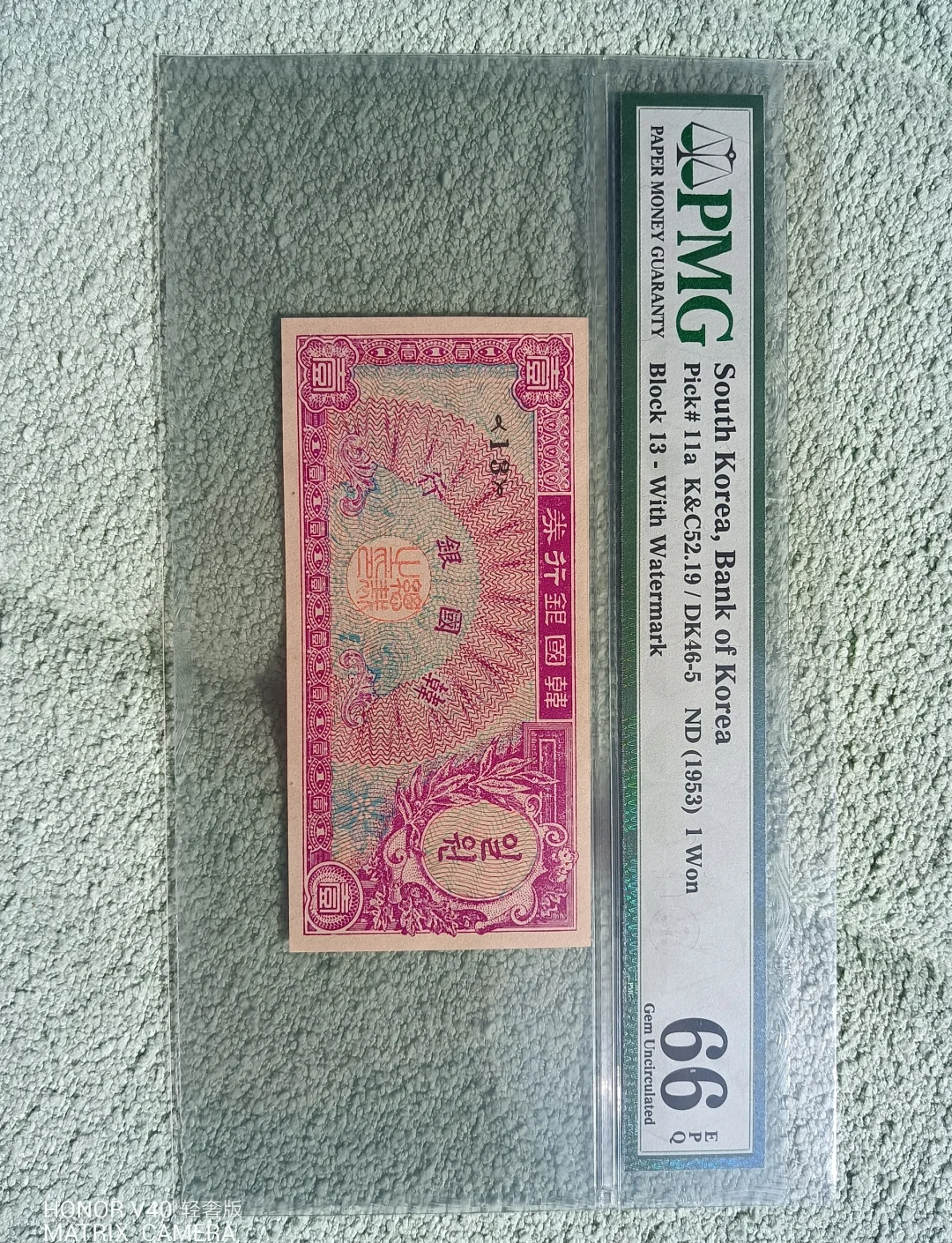 龟币(龟币图片)