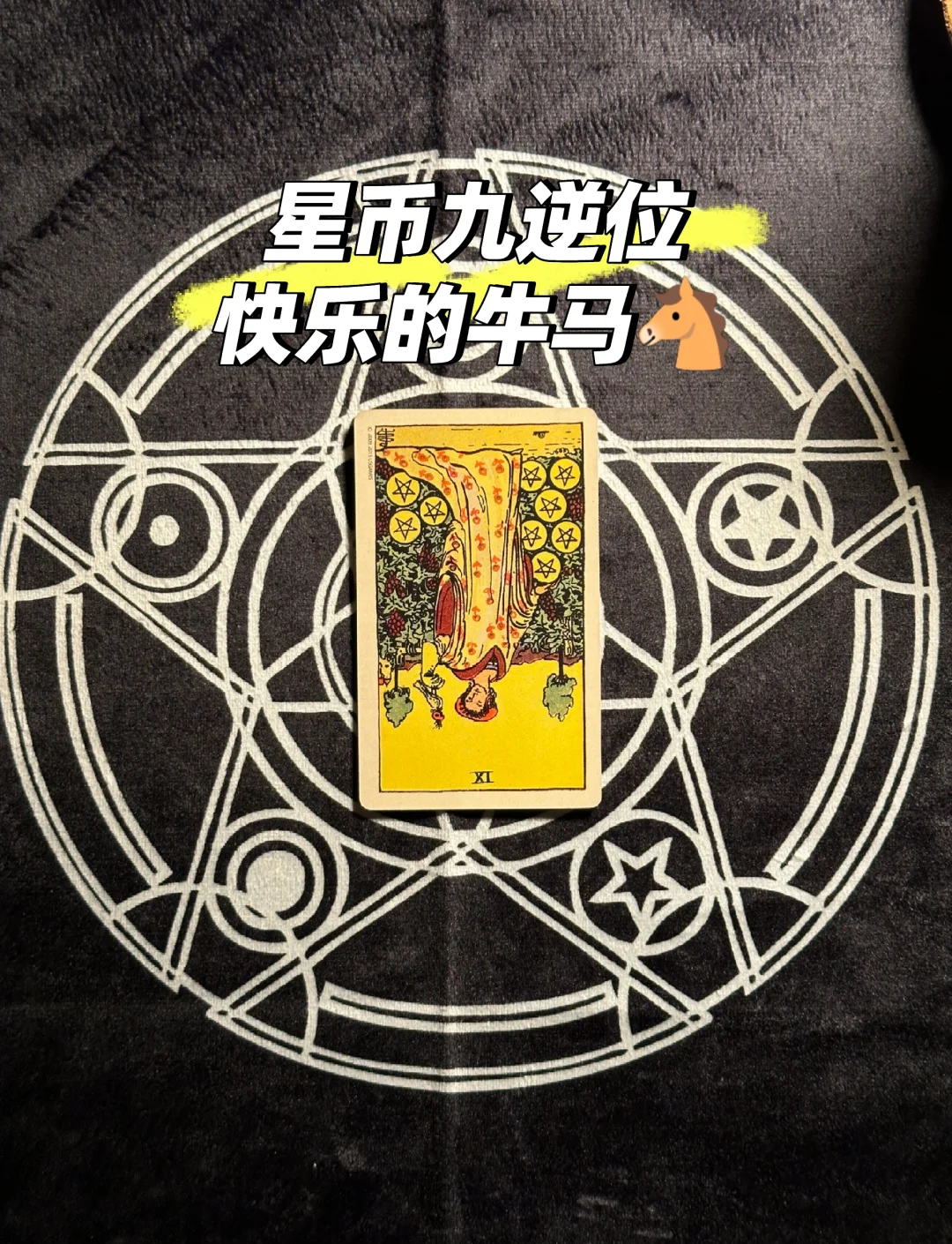 币9网(比985还牛的十大警校)