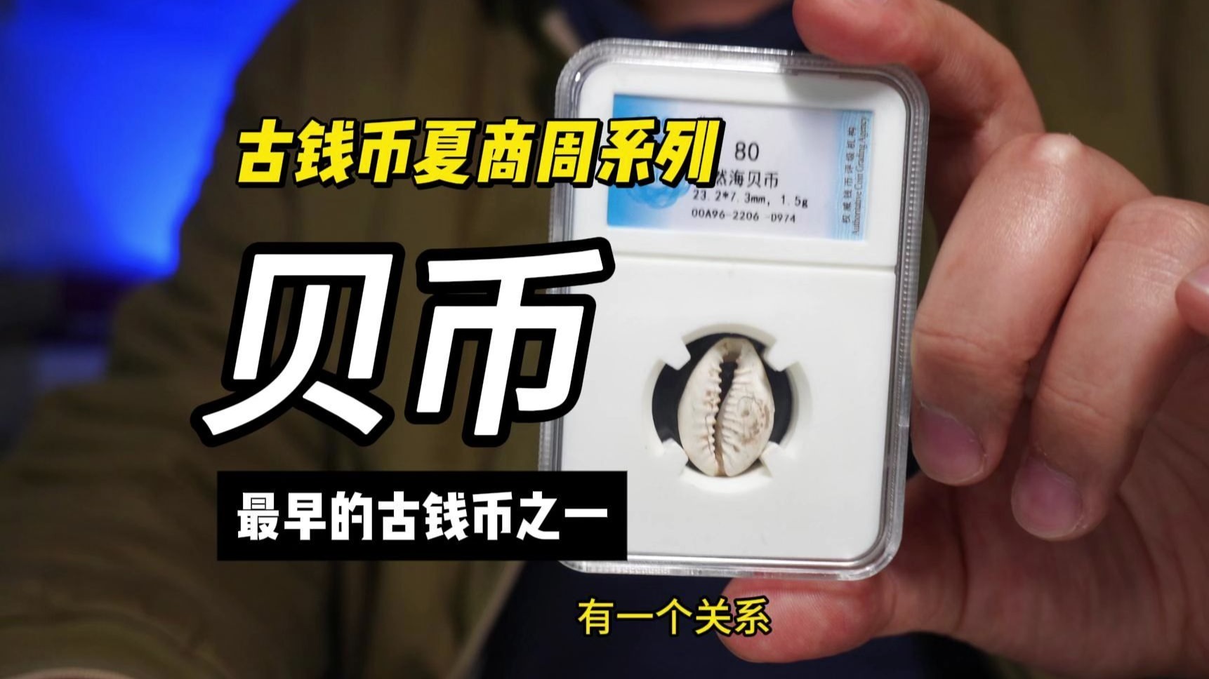 金贝币(金贝币是几级币)