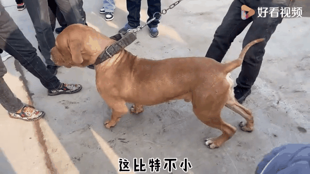 比特(比特儿交易所app官方下载链接官网下载地址cc)