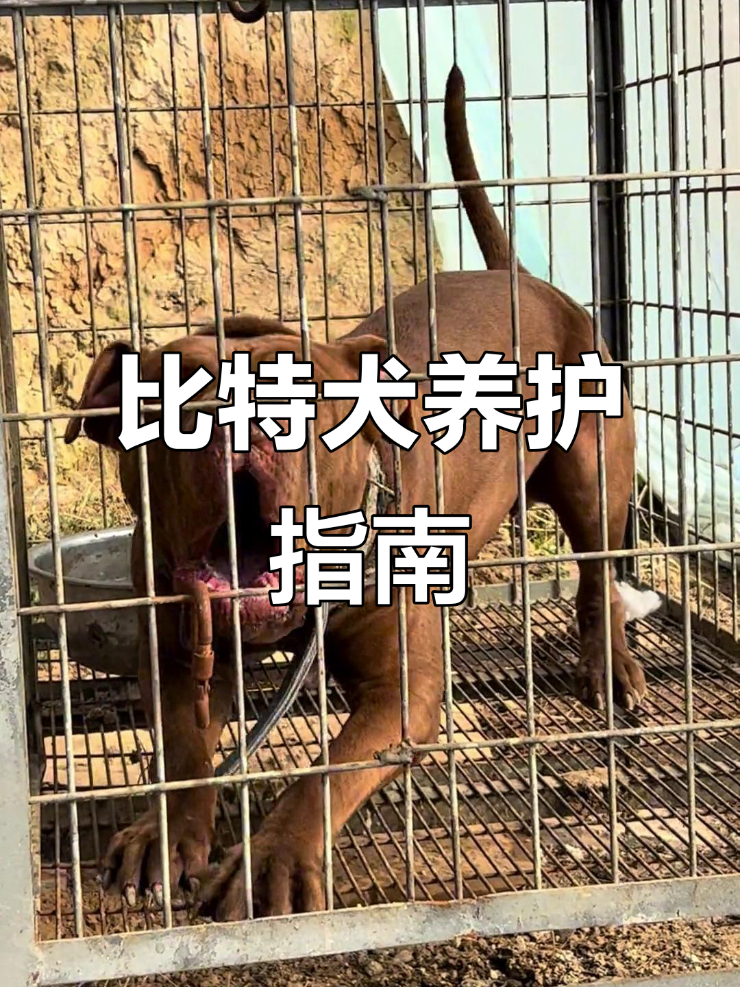比特(比特币行情)