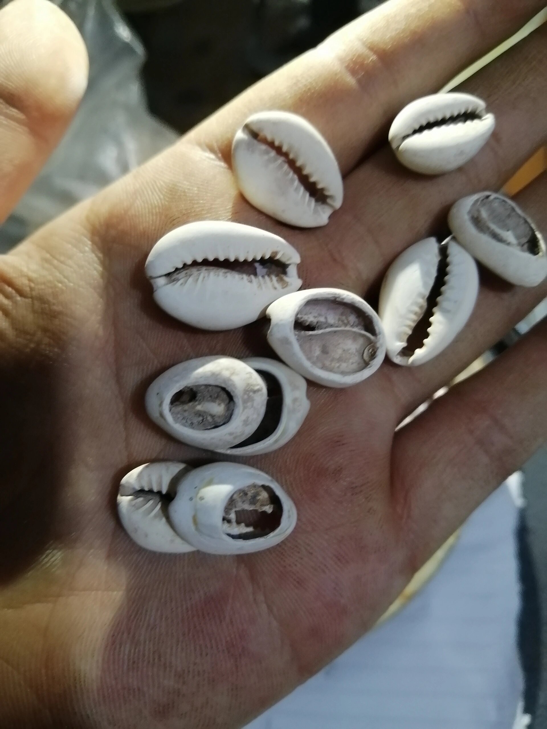 海币(海尔冰箱24小时人工服务上线)