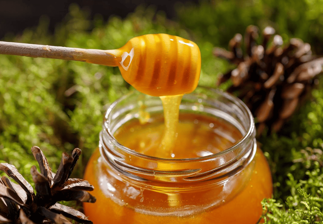 蜂蜜(蜂蜜加白醋有什么功效能减肥吗)