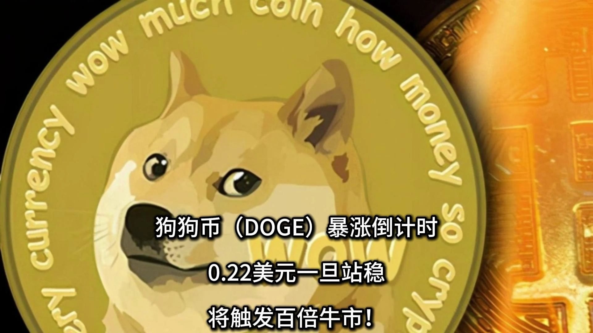 doge行情(doge行情最新消息)