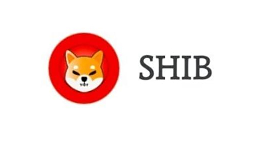 shib(十八岁禁爱) shib(十八岁禁爱)