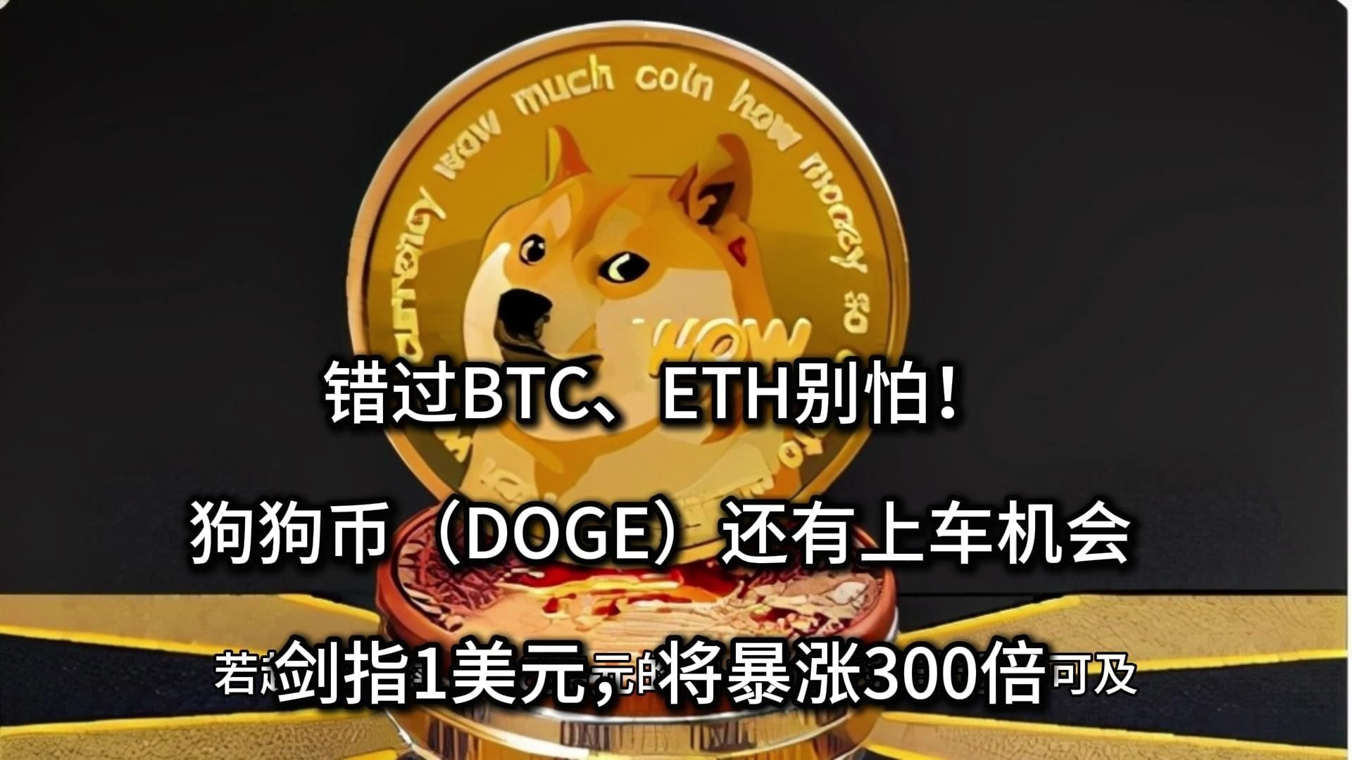 doge币价格(doge币的价格)