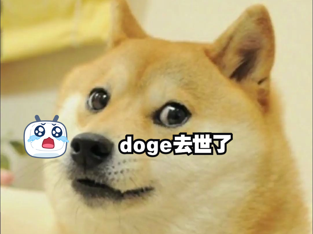 DOGE(doge币交易所买用什么平台专业安全中文下载中国) DOGE(doge币交易所买用什么平台专业安全中文下载中国)