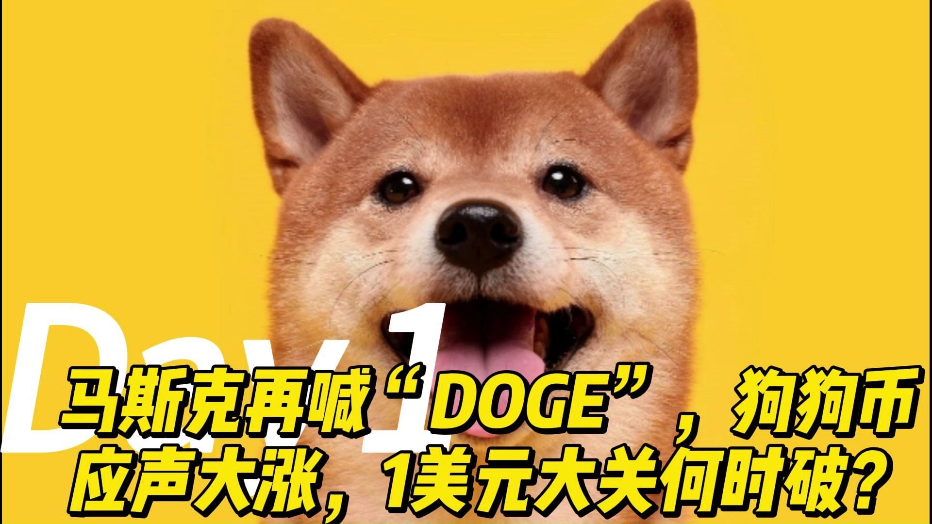 doge是什么意思(doge是什么意思网络词) doge是什么意思(doge是什么意思网络词)