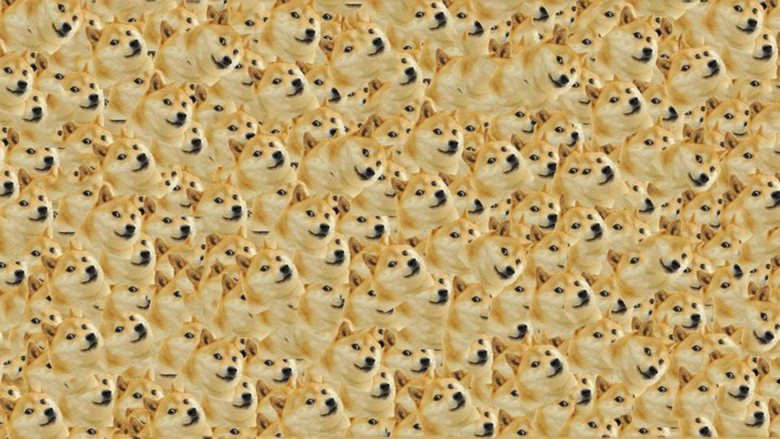 DOGE(doge币价格) DOGE(doge币价格)