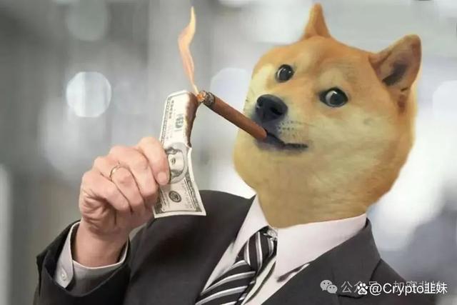doge是什么币(doge是什么币现在行情)