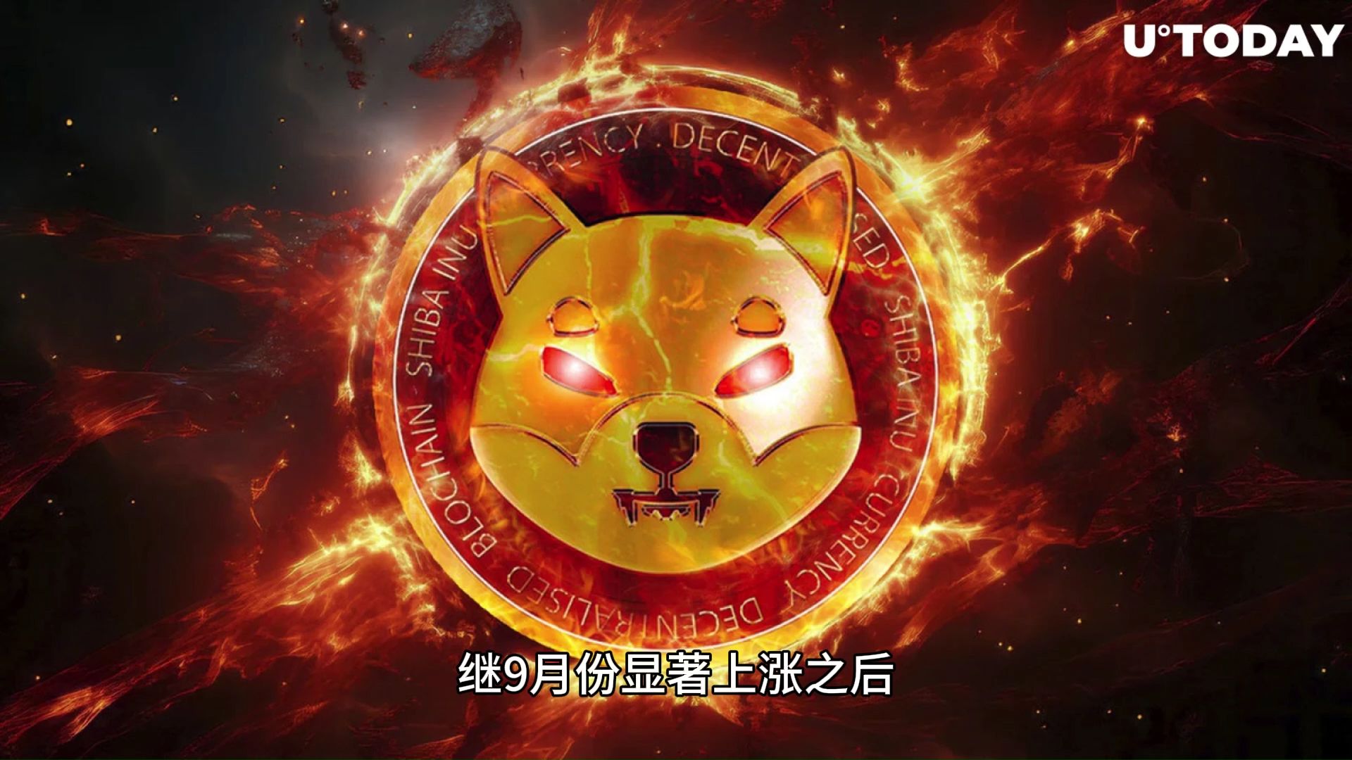 SHIB币(shib币怎么交易买卖极速下载中国) SHIB币(shib币怎么交易买卖极速下载中国)