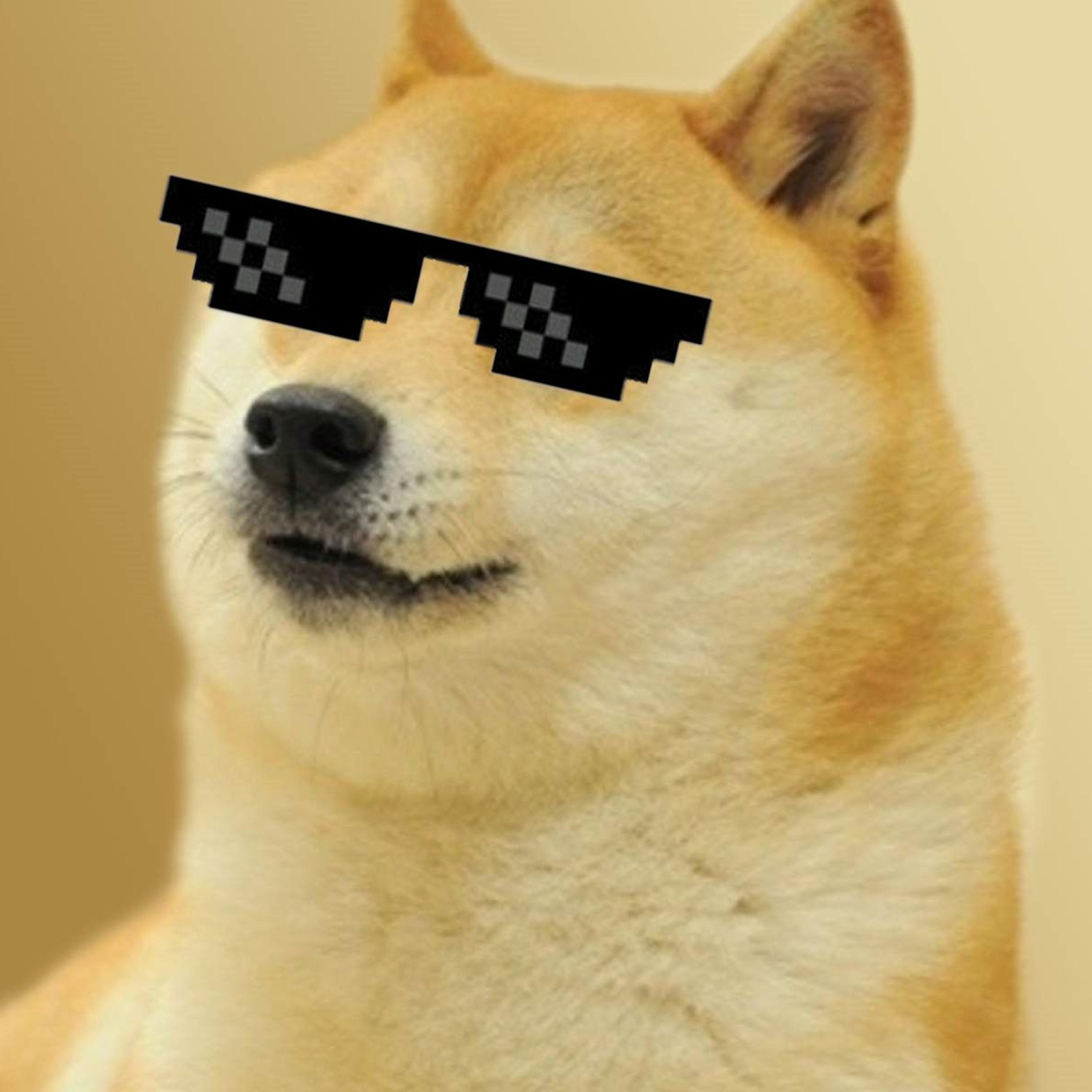 doge行情(dogecoin行情)