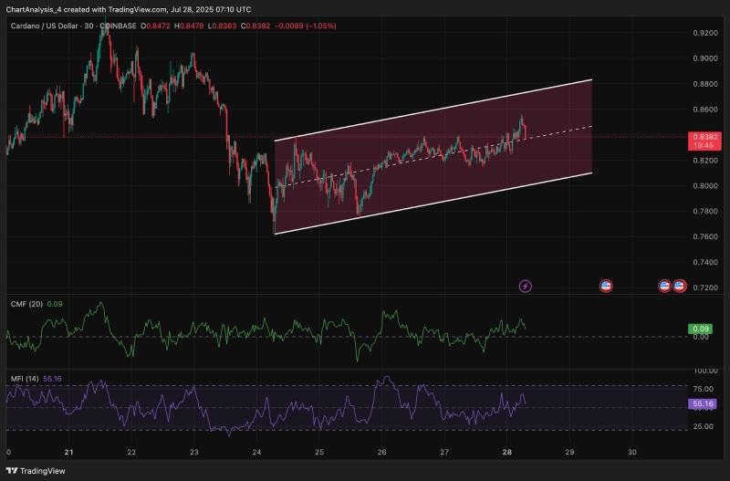 ada今日价格(ada今日最新价格)