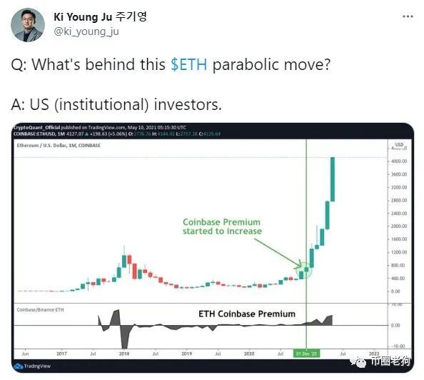 shib币前景(shib币 前景)