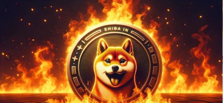 shib币前景(shib币未来发展前景) shib币前景(shib币未来发展前景)