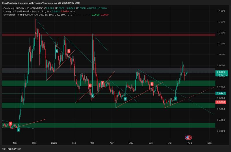ada价格(ADA价格走势美金) ada价格(ADA价格走势美金)