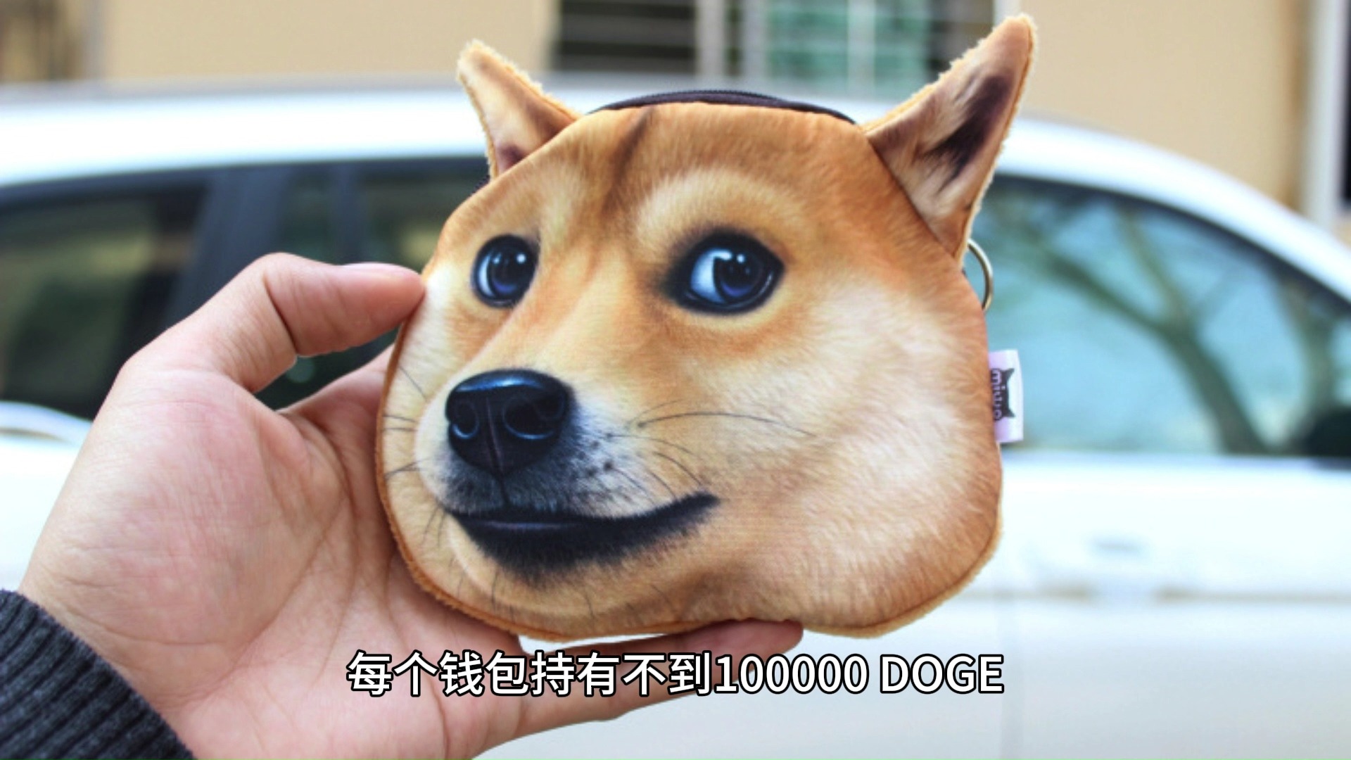 doge行情(doge实时价格行情)