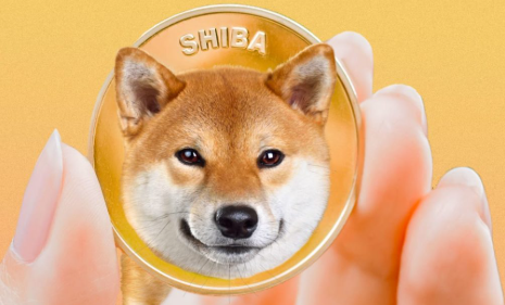 shib币前景(shib币前景未来3年) shib币前景(shib币前景未来3年)