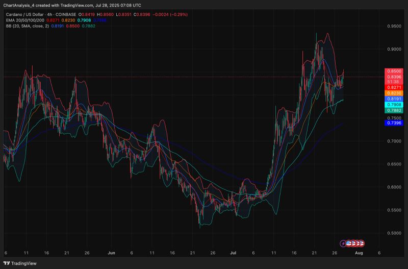 ADA币(ada币前景怎么样) ADA币(ada币前景怎么样)