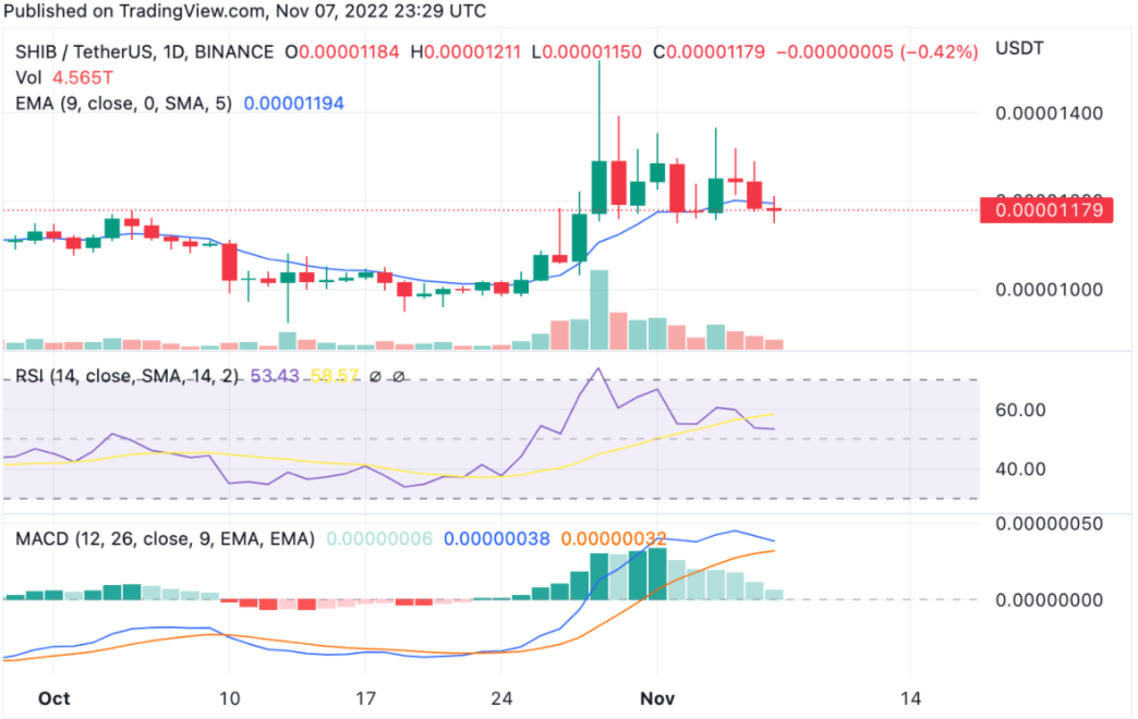 shib(十八岁太奶奶驾到重整家族荣耀)