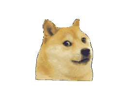 DOGE(doge币怎么买用什么平台专业安全登录中文下载中国)