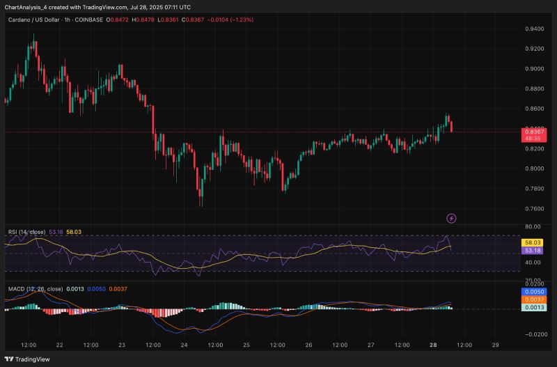 ADA币(ada币创始人哪国人) ADA币(ada币创始人哪国人)