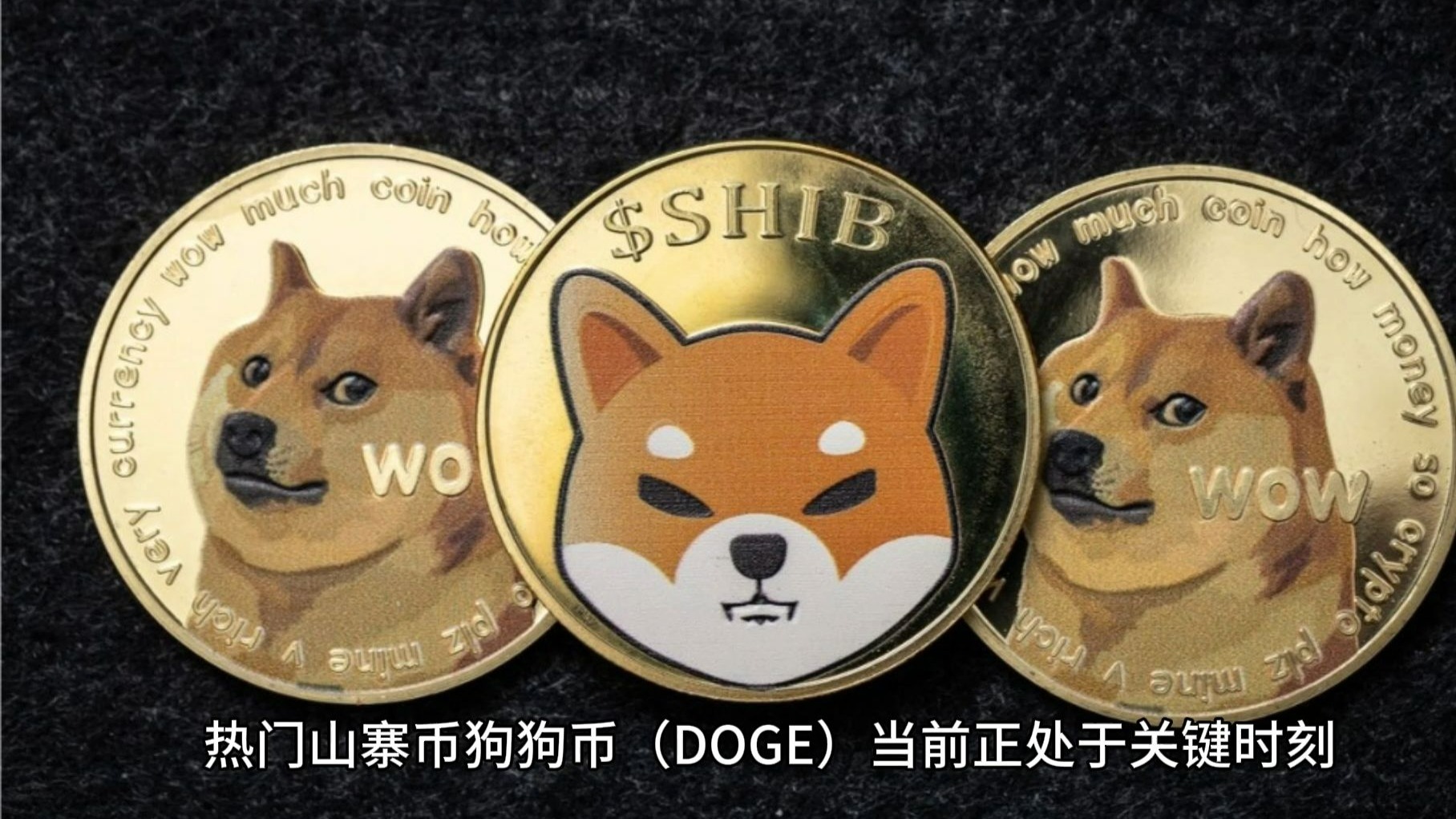 DOGE(doge币怎么买用什么平台专业安全登录点击获取org)