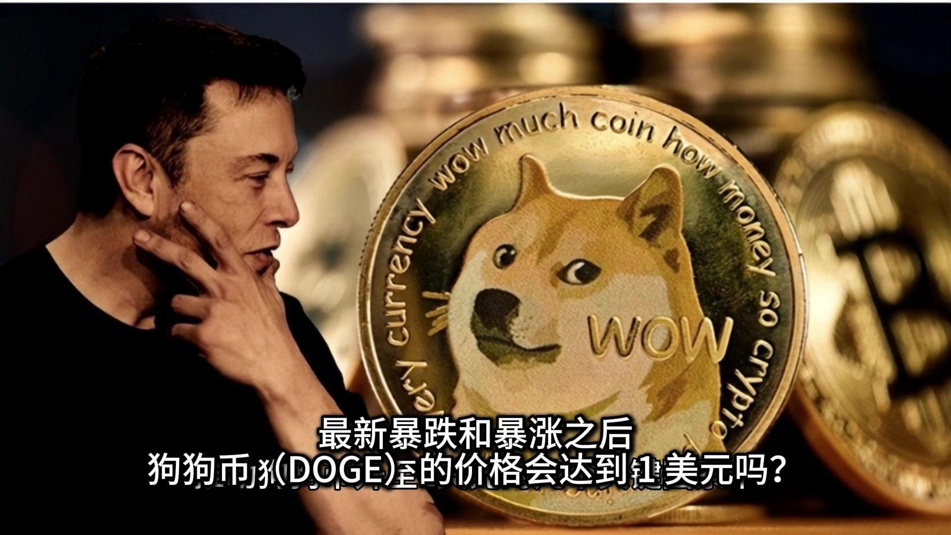 doge行情(doge行情最新价格)