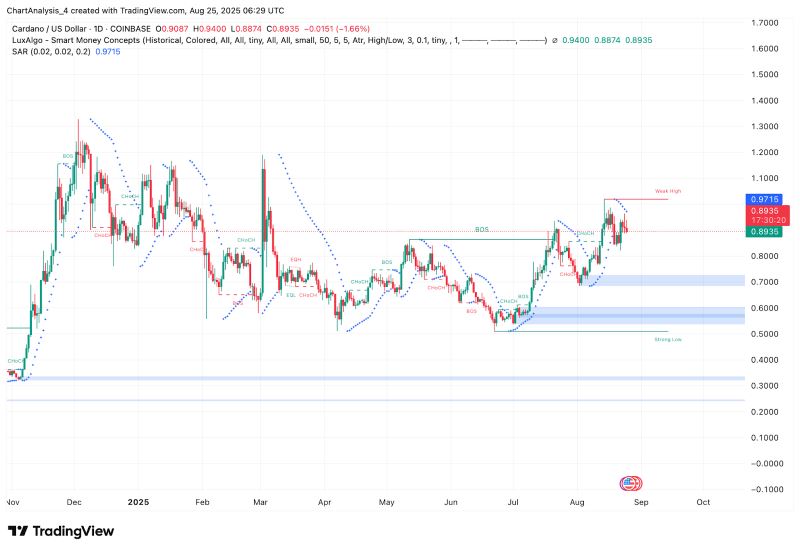 ADA币(ada币是主流币吗)